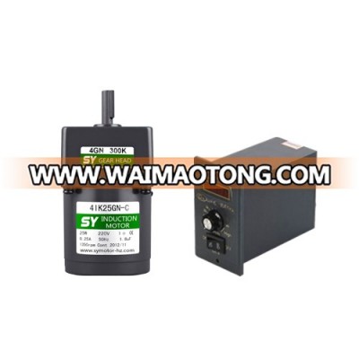 25w reversible ac induction motor with speed controller