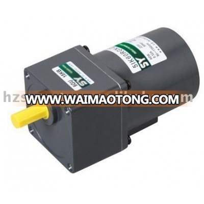 60W induction motor