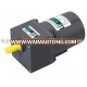 60W induction motor